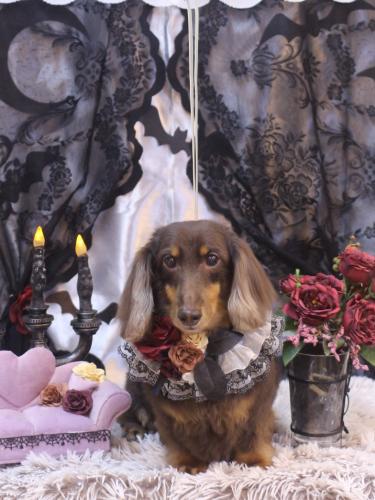 20231018ここあくん